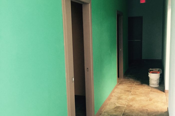 Painting and Remodeling Contractor